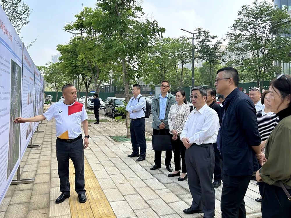 市政协民盟界别赴柴泊湖开展长江高水平保护提质增效行动专项民主监督工作
