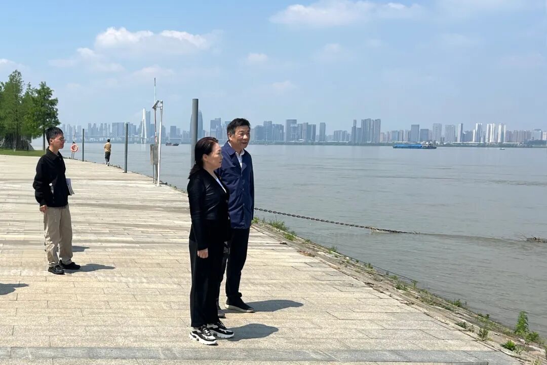 民建武汉市委会赴青山江滩开展民主监督调研