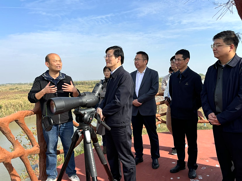 侨智赋能长江大保护,同心共筑生态新屏障——致公党界别践行习近平生态文明思想守护一江碧水纪实