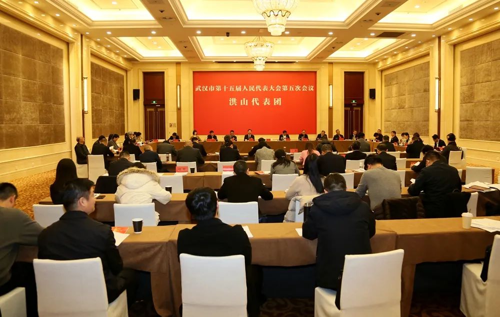 杨智参加洪山代表团审议