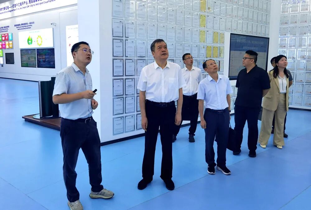 陈跃庆赴长江新区调研绿色环保产业发展工作