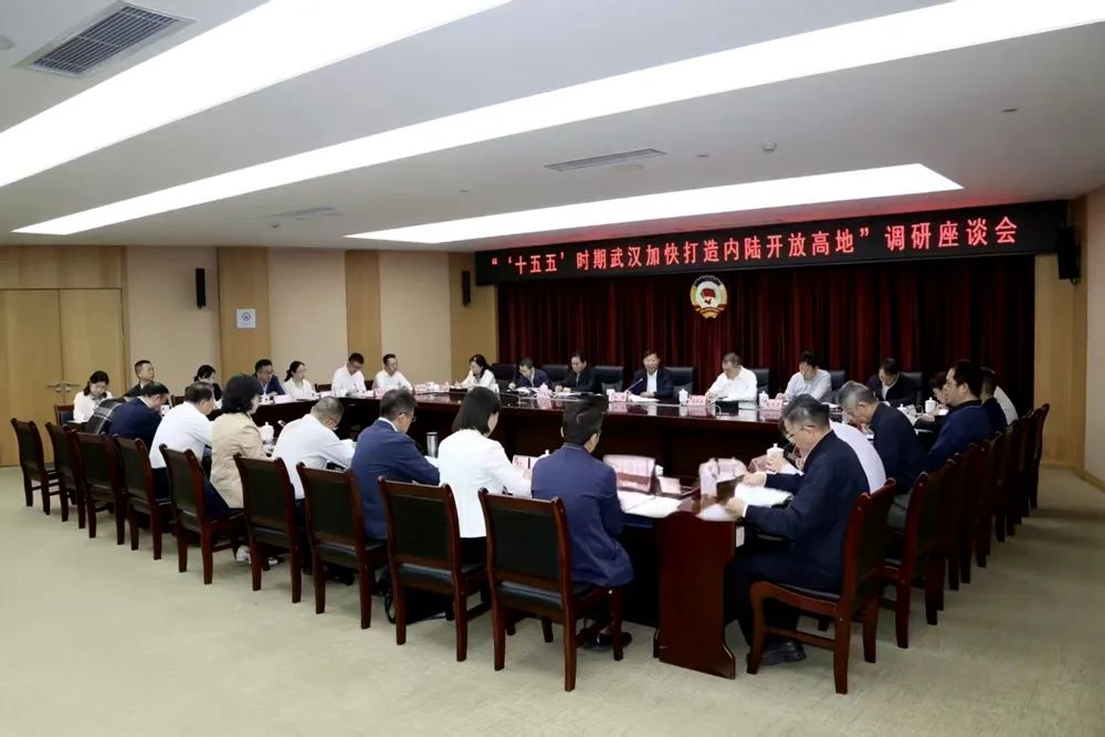 杨智主持召开“‘十五五’时期武汉加快打造内陆开放高地”调研座谈会