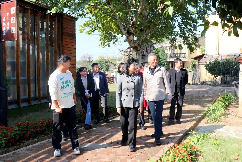 周晓琦带队调研武汉市新洲区“一线协商”和乡村振兴工作