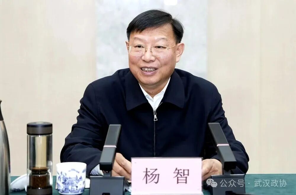 杨智走访武汉市各民主党派市委会和市工商联