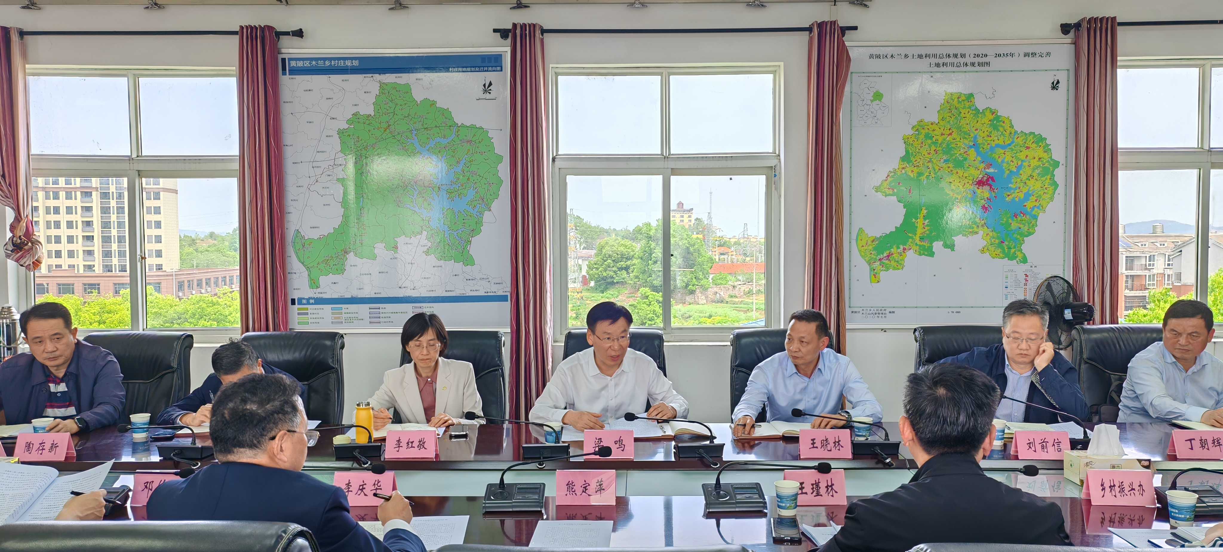 梁鸣率队调研黄陂区木兰乡乡村振兴推进工作