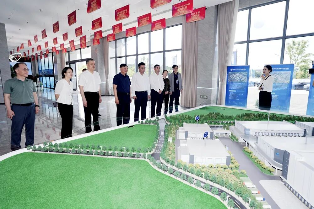 杨智赴武汉市黄陂区调研统筹发展和安全工作